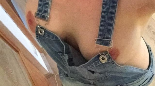 SuzaSweet Vorschaubild